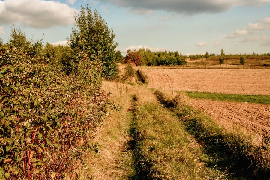 « Sols vivants », l’initiative qui révolutionne le modèle agricole