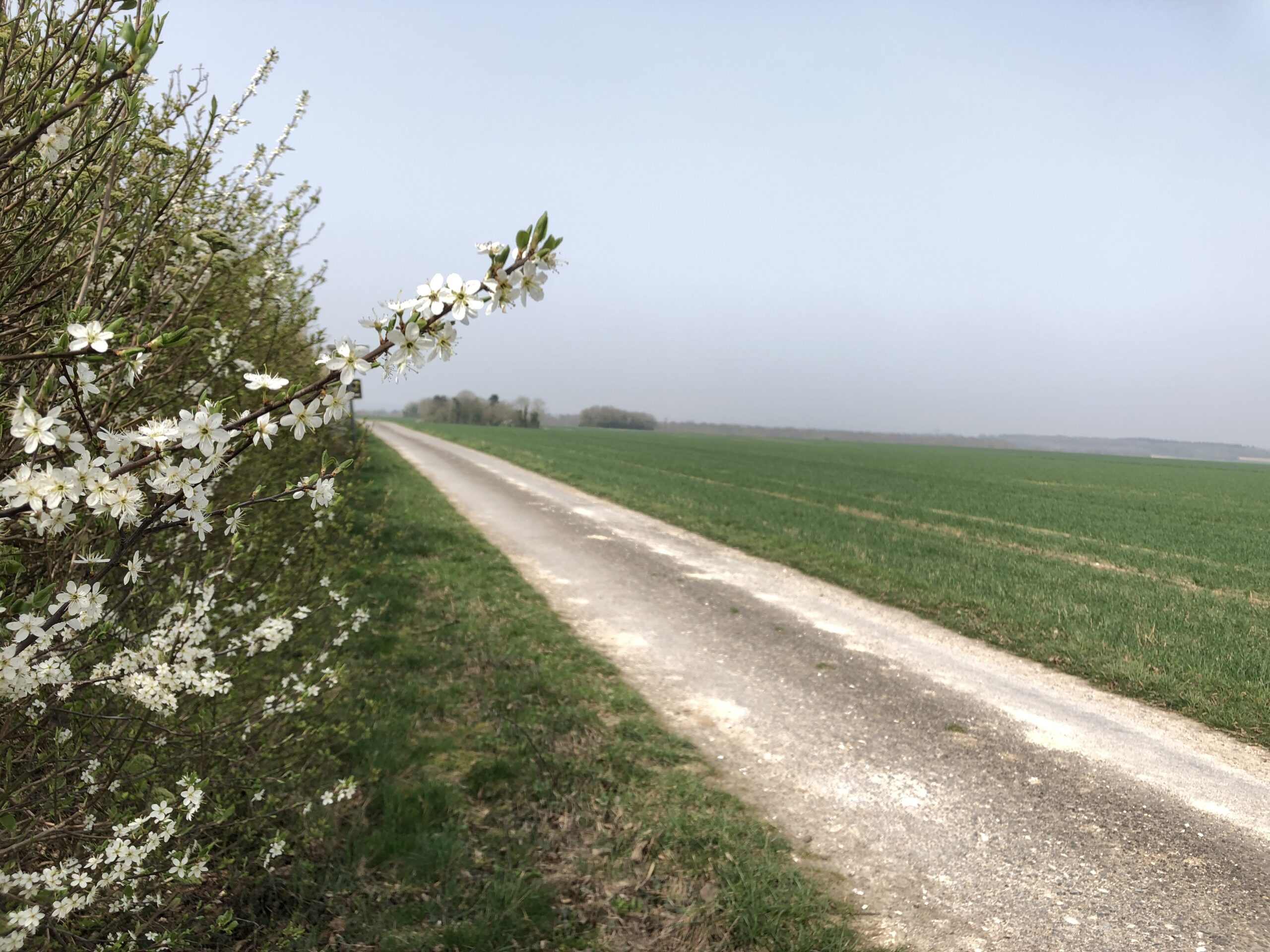 Dans les Hauts-de-France l’agriculture régénératrice se déploie de manière collective